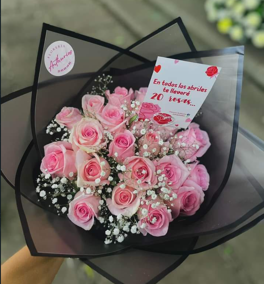 TE LLEVARE 20 ROSAS