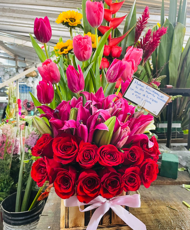 Box de tulipanes